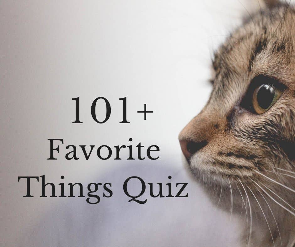 List Of Favorite Things Questions